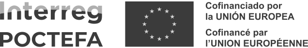 logo interreg poctefa gris